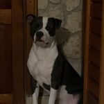 Profile Picture of Liam Himely (@liamhimely) on Instagram