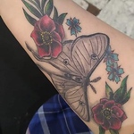 Profile Picture of Amanda Murrow (@amandadawnmurrow) on Flickr