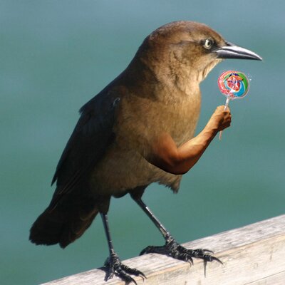 Profile Picture of Chris Maltby (@maltby) on Twitter