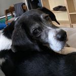 Profile Picture of Jason Grimm (@jg.31485) on Instagram