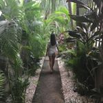 Erin - Instagram Profile Picture of Erin (@sunshine_sanchez) on Instagram