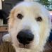 Profile Picture of Chase Graham (@Chase-Graham) on Facebook