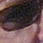 Profile Picture of Peter G. Pereira (@peter g. pereira) on Flickr