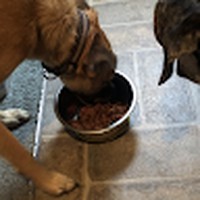 Profile Picture of Gary Cruce (@gary-cruce-2) on Quora