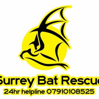 Steve Preston - Twitter Profile Picture of Steve Preston (@SteviepWildlife) on Twitter