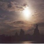 Profile Picture of Peter Forcier (@peter4vr) on Instagram