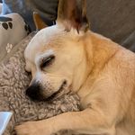 Profile Picture of Deborah Howell (@debhowell123) on Instagram