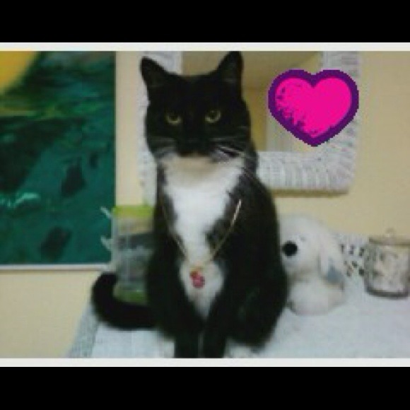 Profile Picture of Morgan Welbaum (@strawberriblosm) on Poshmark