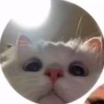 Profile Picture of Jasmine Hobbs (@jasmine._.hobbs) on Instagram