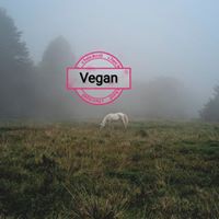 Profile Picture of James Mchanne (@james-mchanne) on Quora