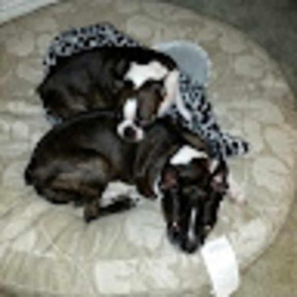 Profile Picture of John Frederick (@edmontonjohn0) on Poshmark