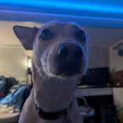 Taylor Denny - Youtube Profile Picture of Taylor Denny (@hubblemuffin69) on Youtube