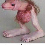 Profile Picture of Jacob Robitaille (@theleprechaune) on Instagram