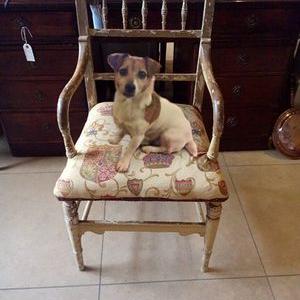 Profile Picture of Morag Smith (@Pawshabbychic) on Twitter