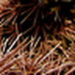 Profile Picture of Scott Kelley (@livegro) on Flickr