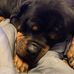 Profile Picture of Craig Crissman (@craig.crissman.79) on Facebook