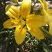 Profile Picture of Sylvia Roy (@roy2190) on Pinterest