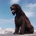 Profile Picture of David Hallett (@david.hallett.31) on Facebook