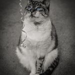 Profile Picture of michael spady (@michaelspady) on Instagram