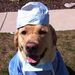 Profile Picture of Derek Tomes (@derektomes) on Pinterest