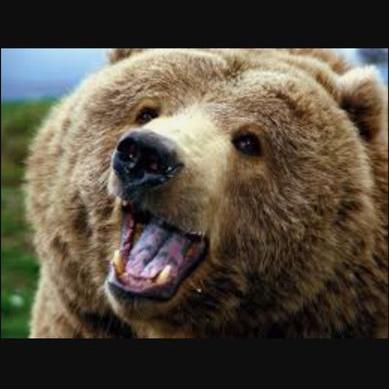 Profile Picture of TheShameWizard (@TonyVanderhoof) on Twitter