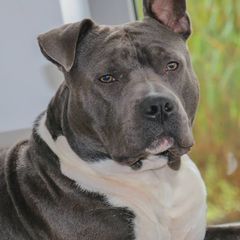 Profile Picture of pascale.michael (@pascale.michael) on Tiktok