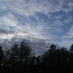Profile Picture of David Vickery (@vickeryart) on Instagram