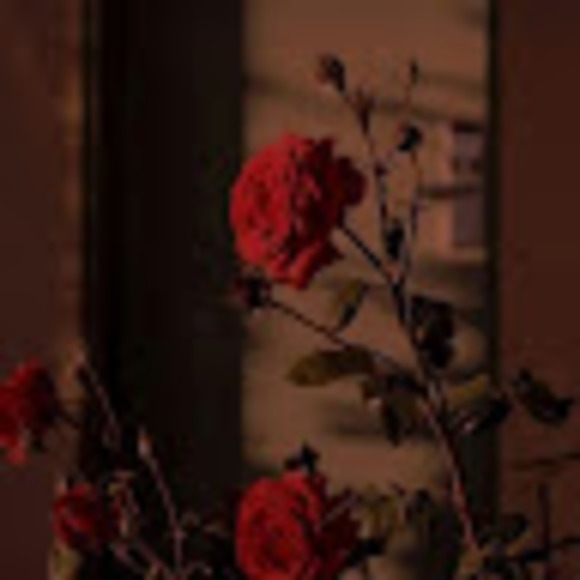 Camila Garzón - Poshmark Profile Picture of Camila Garzón (@camilagarzon018) on Poshmark