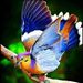 Profile Picture of Gail Limas (@IvinsU) on Pinterest