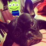 Profile Picture of Jeffrey Stamps (@ultraftin) on Instagram