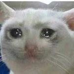 Profile Picture of Sebastian Lippold (@jason_s8n) on Instagram