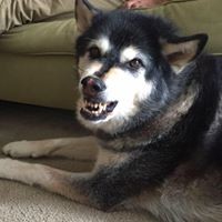 Profile Picture of William Meyer (@william-meyer-89) on Quora