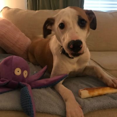 Profile Picture of Jared Keyser (@JaredKeyser1) on Twitter