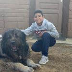 Profile Picture of Adam Omara (@adam.omara.75) on Instagram