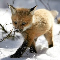 Profile Picture of Bryan Schwarz (@bryan-schwarz-2) on Quora