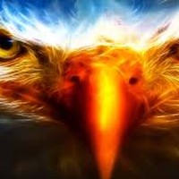 Profile Picture of Saul Solomon (@saul-solomon-1) on Quora