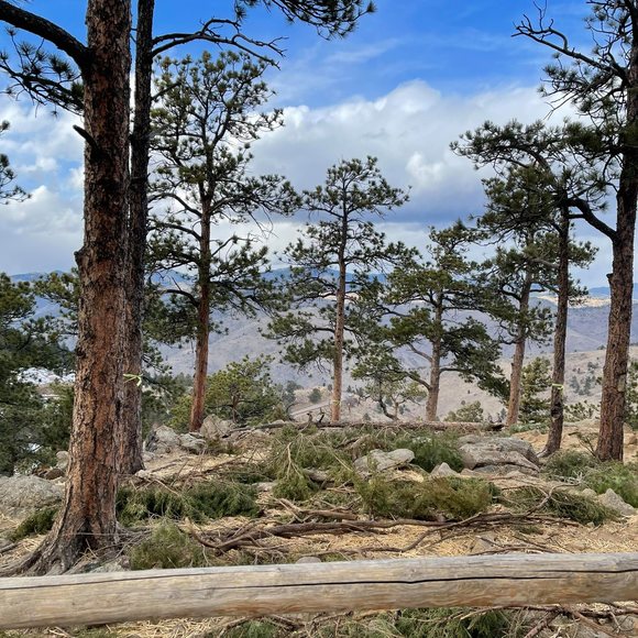 Profile Picture of Jessica Emory (@jdhemory) on Poshmark