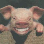 Profile Picture of John Lampkins (@jdindy500) on Instagram