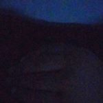 Profile Picture of Nicholas Braxton (@nick.frye_) on Instagram