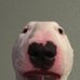 Profile Picture of Dylan Kirby (@dylan.kirby.7543) on Facebook