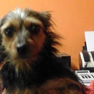 Profile Picture of Rita Squillari (@Rita-Squillari) on Facebook