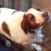 Profile Picture of Carol Benson (@carol.benson.754918) on Facebook