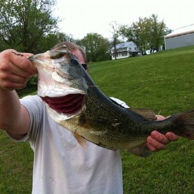 Profile Picture of Brandon Royer (@BrandonRoyer38) on Twitter