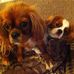 Profile Picture of Amber Bella Wayte (@amberbella.wayte) on Facebook