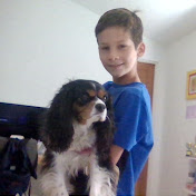 Profile Picture of David Rosen (@DavidRosen-ml8pn) on Youtube