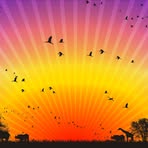 Profile Picture of Andrew Weisner (@Andrew-Weisner) on Facebook