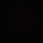 Profile Picture of Shaun Rodrigues (@rodriguesshaun498) on Instagram