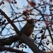 Profile Picture of Robin Farris Keffeler (@robinkeffeler) on Pinterest