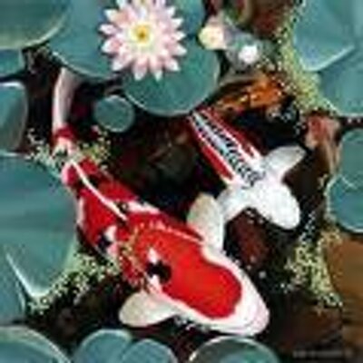 Profile Picture of Kevin Pettigrew (@lovekoi1) on Twitter