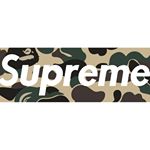 Profile Picture of Bob (@lokey_life_of_bob) on Instagram